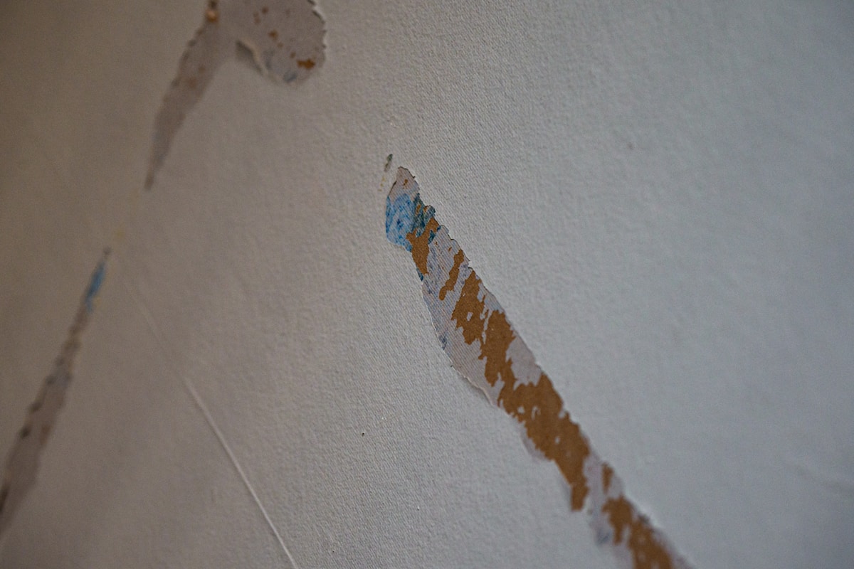 Flood Cleanup service in North Richland Hills, TX